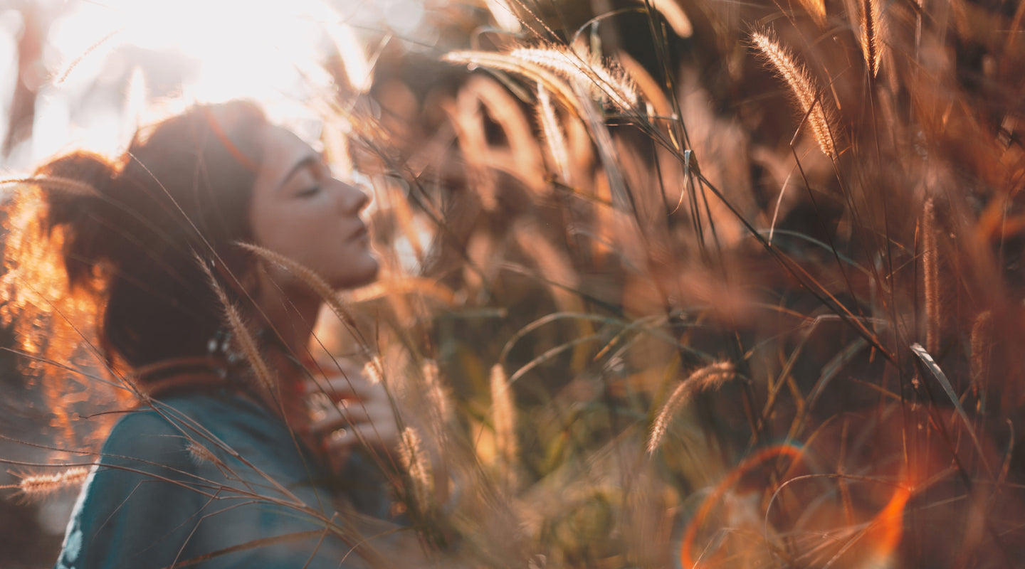 Wildschön - Nachhaltige Haar- und Körperpflege in kompromissloser Bioqualität