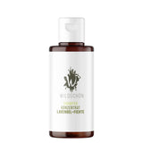 Shampoo Konzentrat Lavendel + Fichte (150ml)